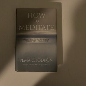 How to Meditate book
